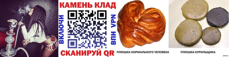 где найти   Люберцы  ГАШ Premium 